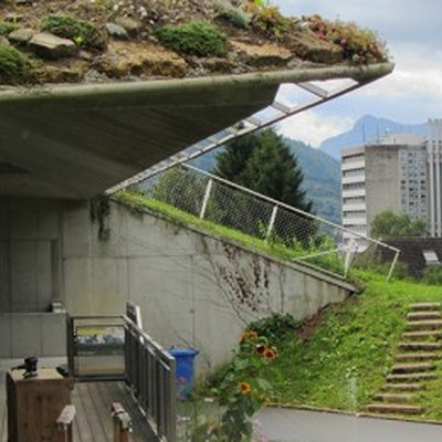 1-Jahres-Katamnese 2013