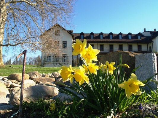 Im Konzept der Therapiestation Carina ist der Garten als einer der Patienten - Arbeitsbereiche verankert