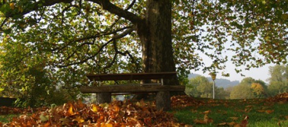 Sie liegt auf einer Anhöhe inmitten von Grünland mit Ausblick auf die Lichtensteiner, Schweizer und Vorarlberger Berge