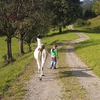 3200 Euro konnten an die tiergestützte Therapie übergeben werden.