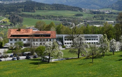 Corona spielt der Sucht in die Hände