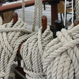 Cannabis als Nutzpflanze