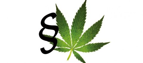 Cannabis im Straßenverkehr