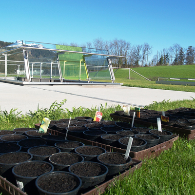 Bildschirmfoto 2017-06-12 um 09.15.28.png